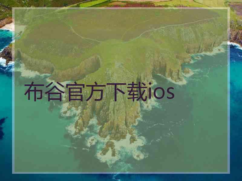 布谷官方下载ios