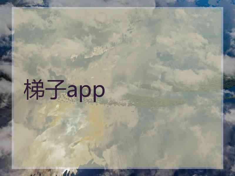 梯子app