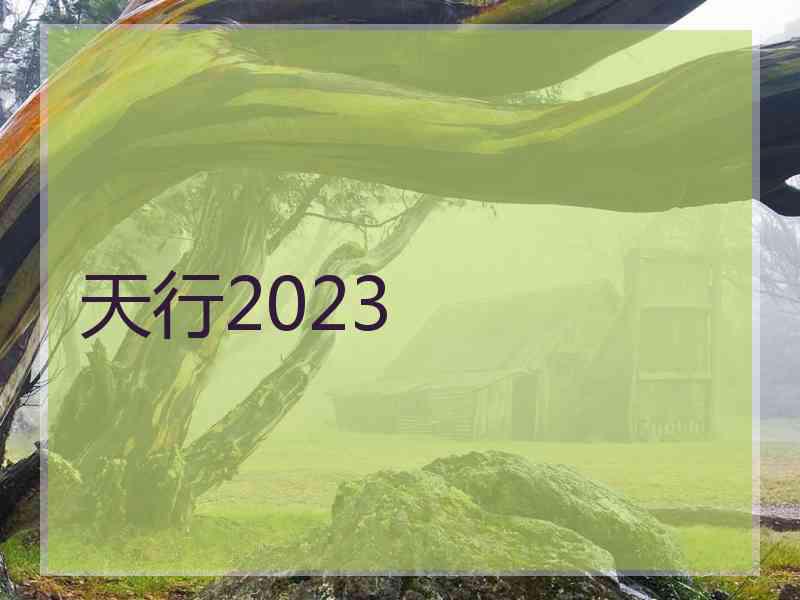 天行2023