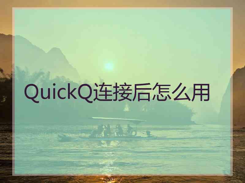 QuickQ连接后怎么用