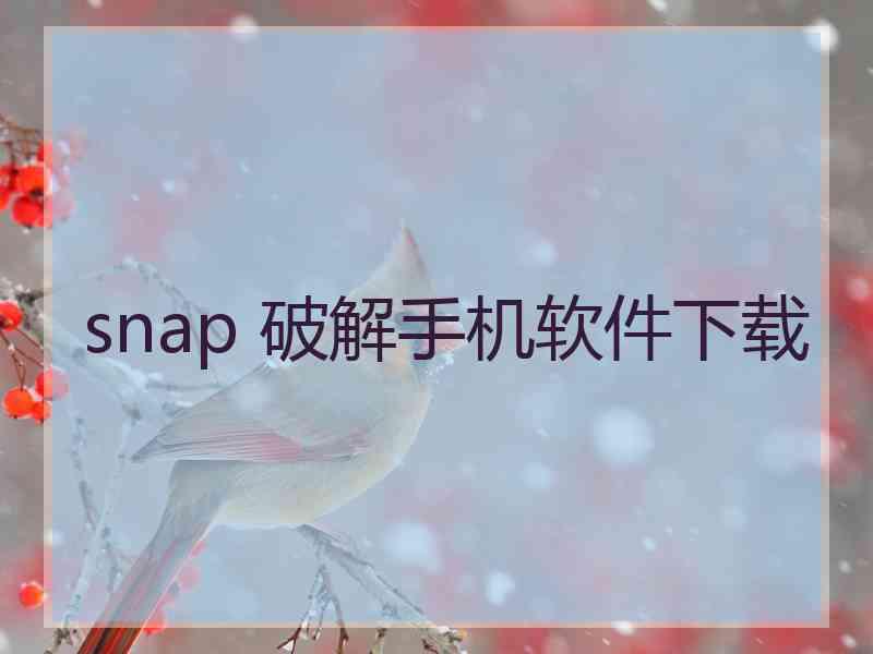 snap 破解手机软件下载