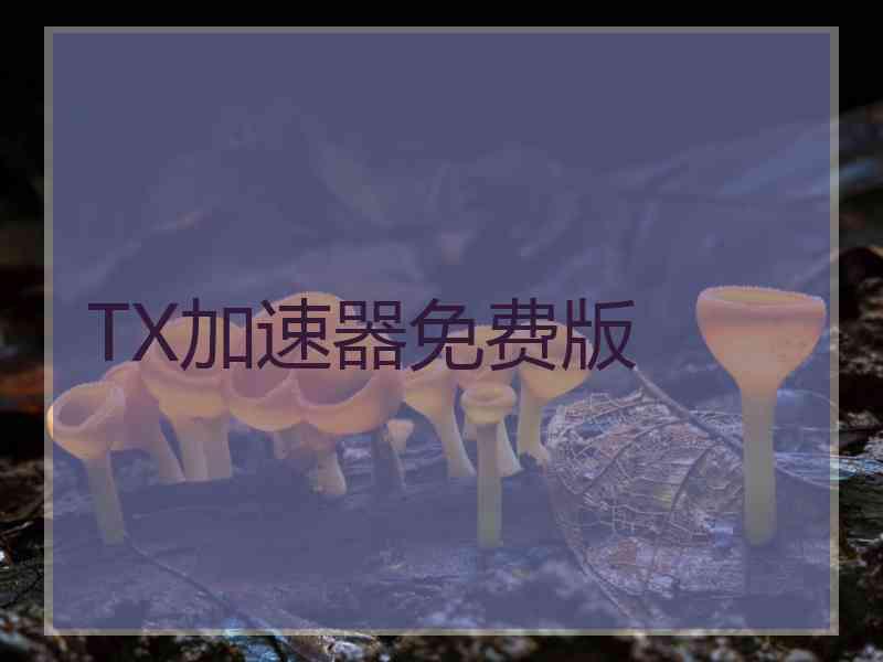 TX加速器免费版