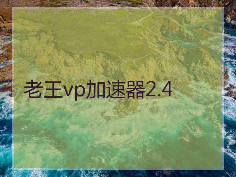 老王vp加速器2.4