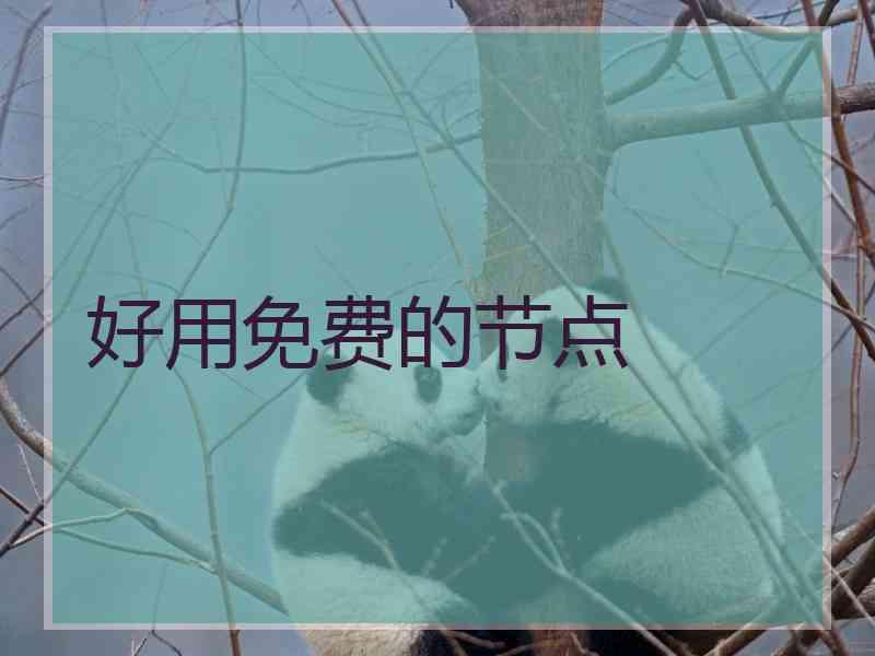 好用免费的节点