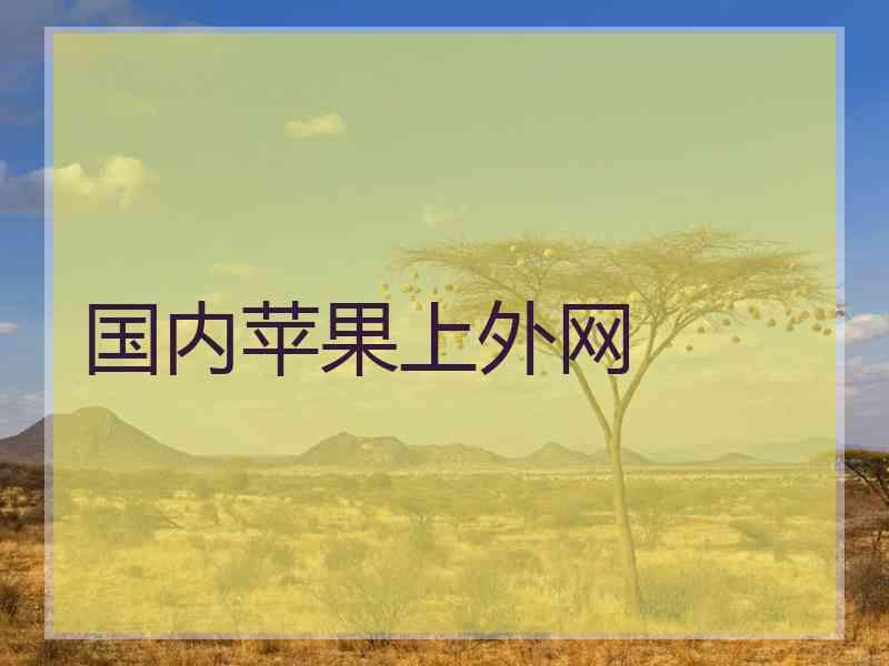 国内苹果上外网