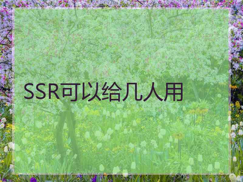 SSR可以给几人用