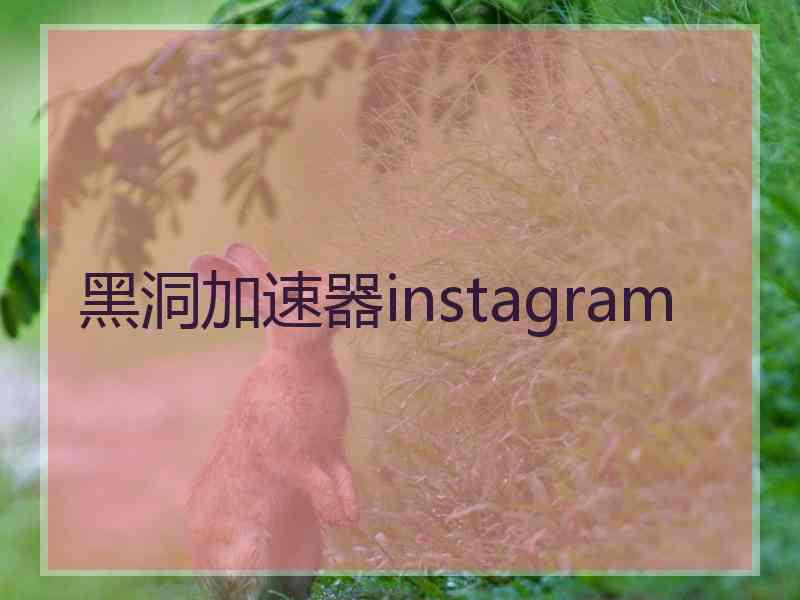 黑洞加速器instagram