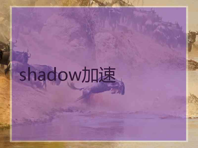 shadow加速