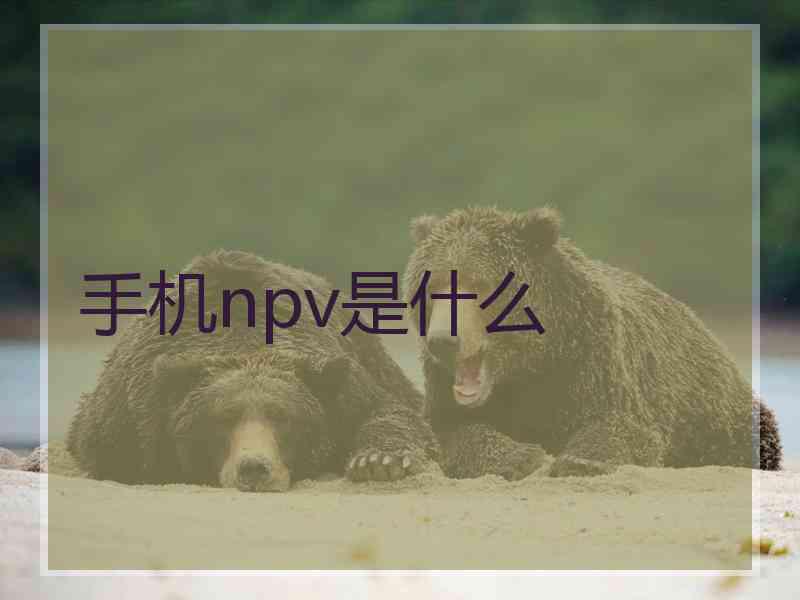 手机npv是什么