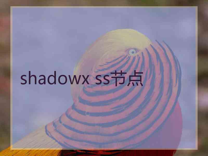 shadowx ss节点