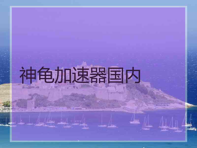 神龟加速器国内