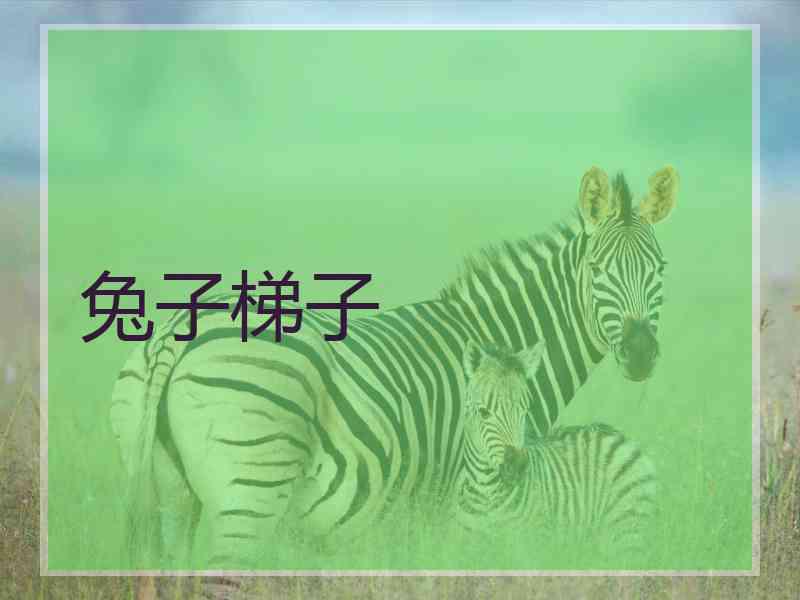 兔子梯子