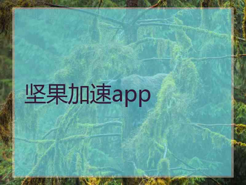 坚果加速app