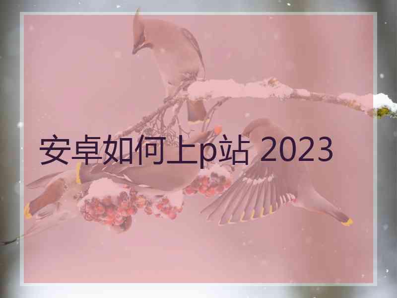 安卓如何上p站 2023