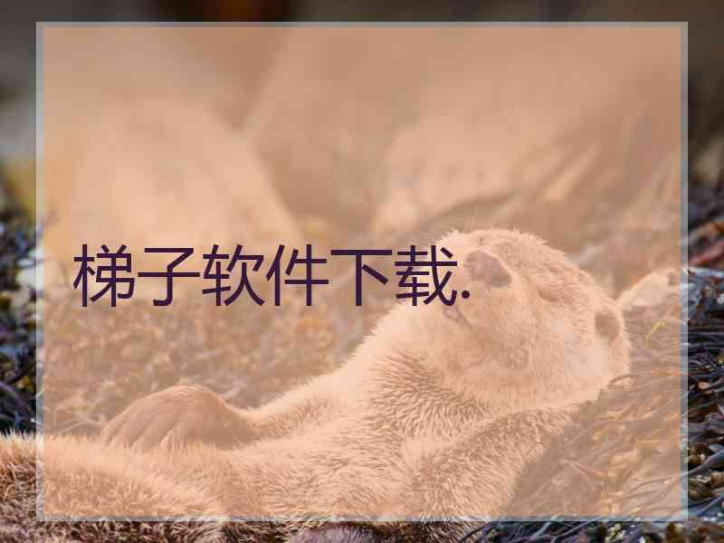 梯子软件下载.