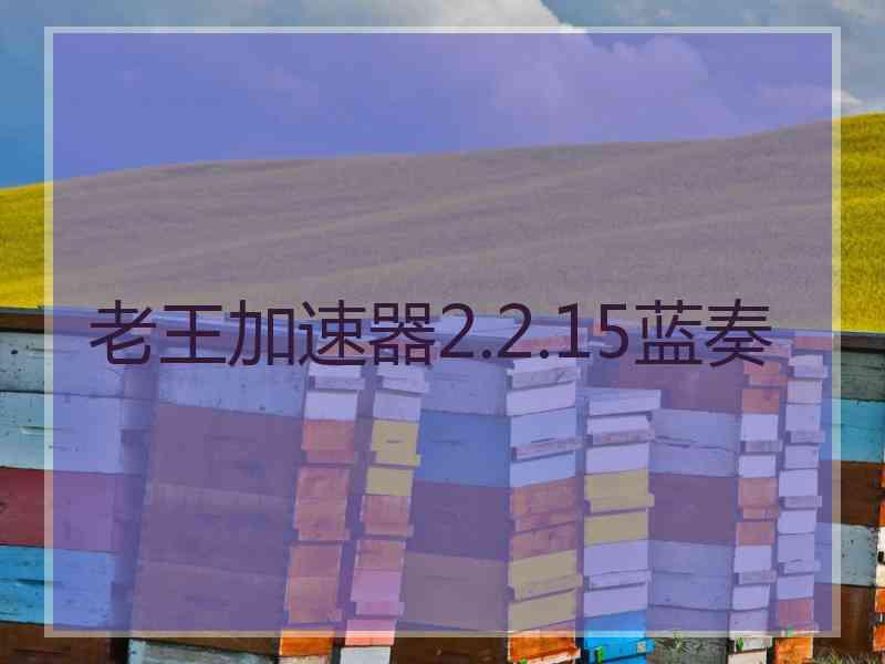 老王加速器2.2.15蓝奏