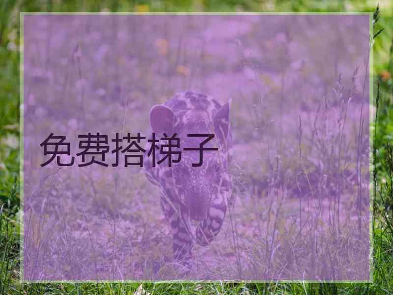 免费搭梯子