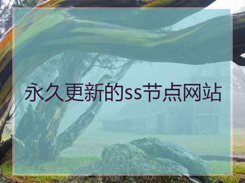 永久更新的ss节点网站