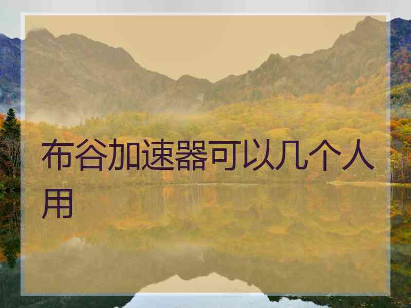 布谷加速器可以几个人用