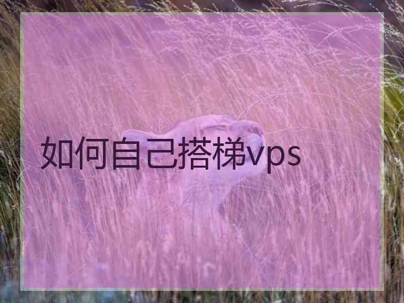 如何自己搭梯vps