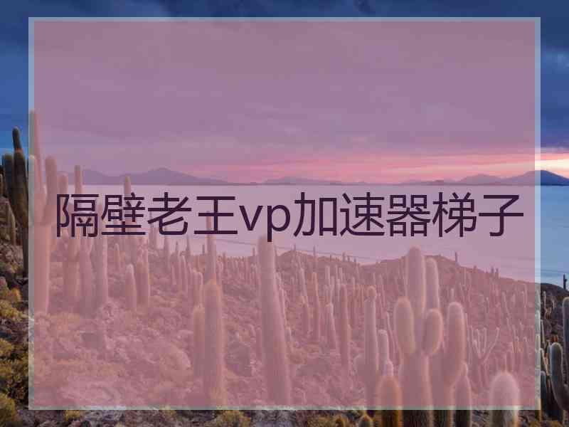 隔壁老王vp加速器梯子