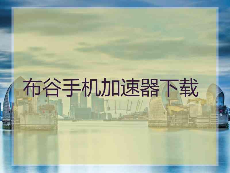 布谷手机加速器下载