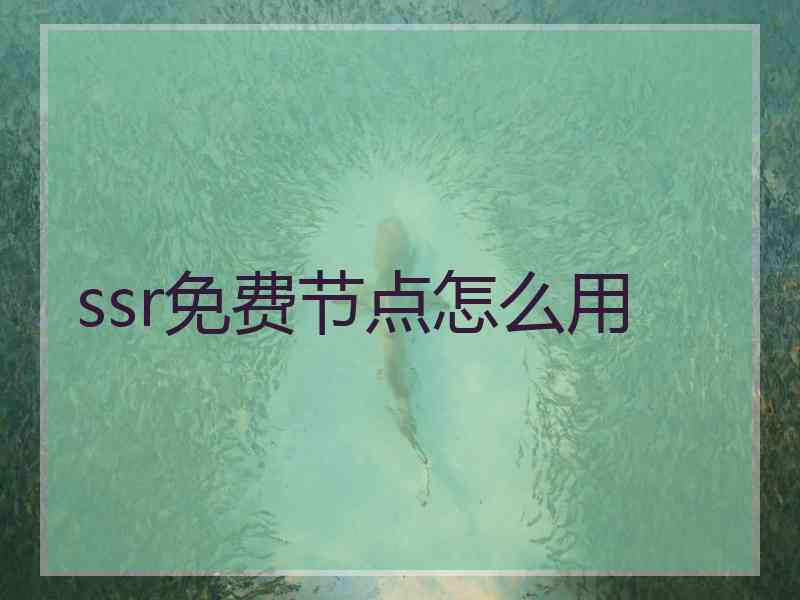 ssr免费节点怎么用