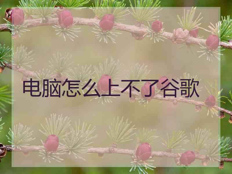 电脑怎么上不了谷歌