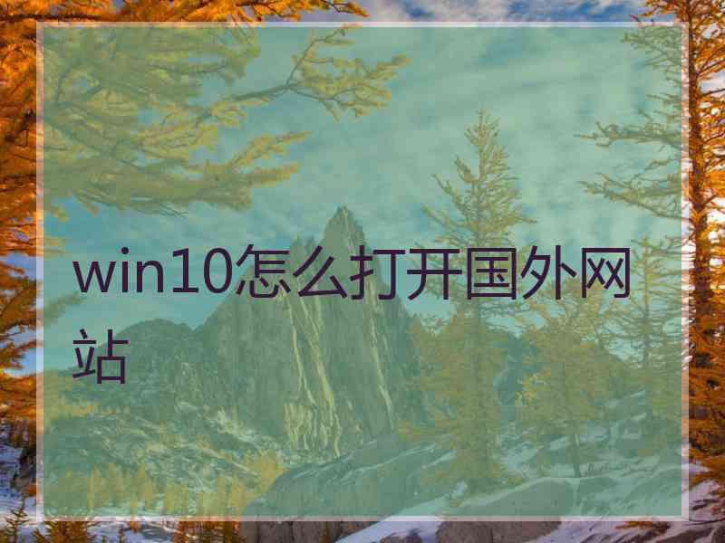 win10怎么打开国外网站