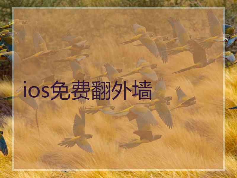 ios免费翻外墙