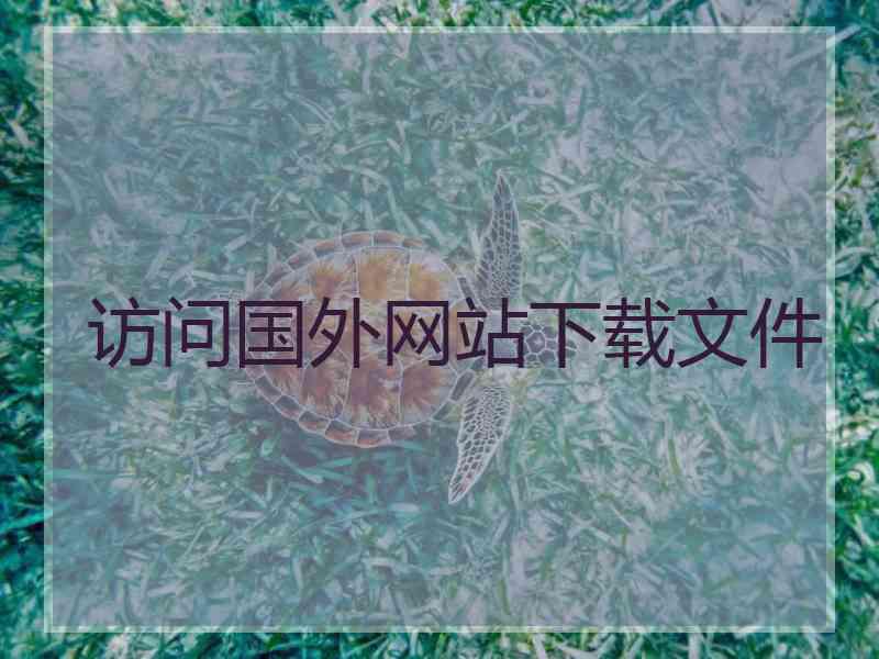 访问国外网站下载文件