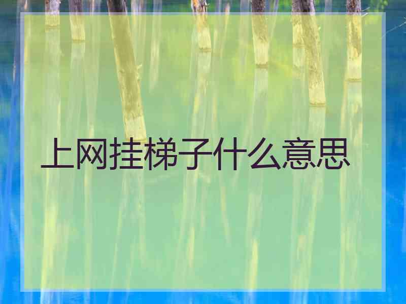 上网挂梯子什么意思