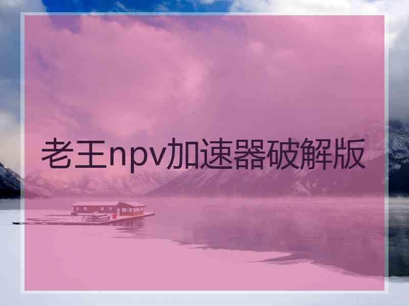 老王npv加速器破解版