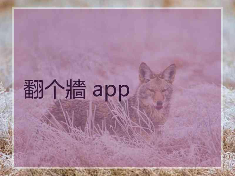 翻个牆 app