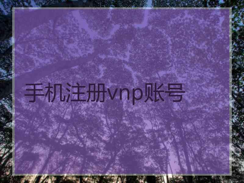 手机注册vnp账号