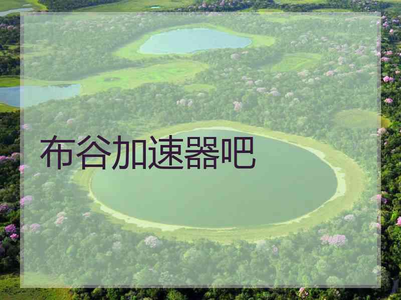 布谷加速器吧
