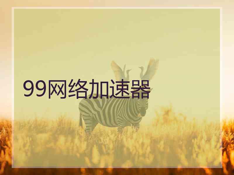 99网络加速器