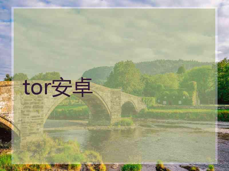 tor安卓