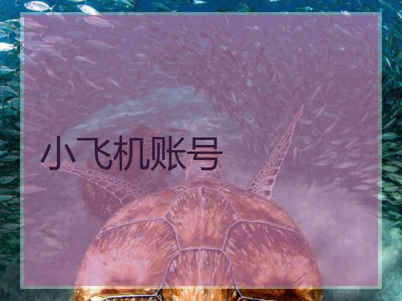 小飞机账号