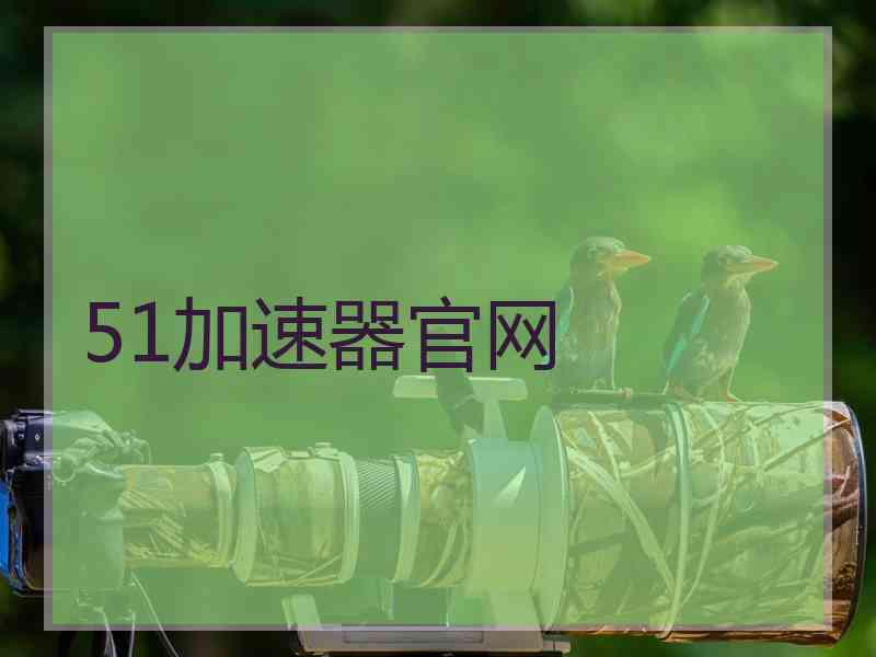 51加速器官网