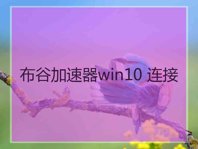 布谷加速器win10 连接