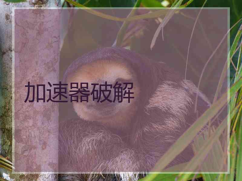 加速器破解