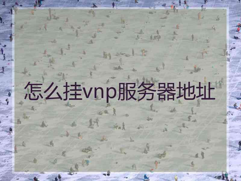 怎么挂vnp服务器地址