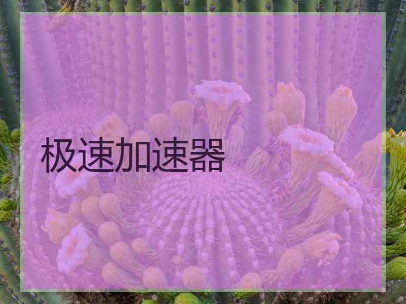 极速加速器