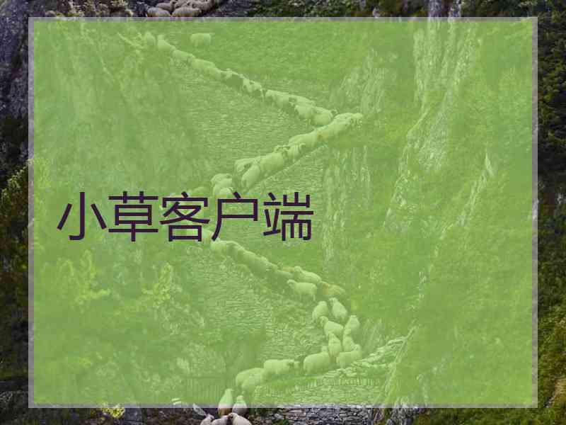 小草客户端