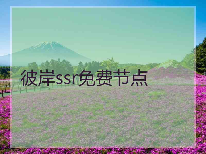 彼岸ssr免费节点