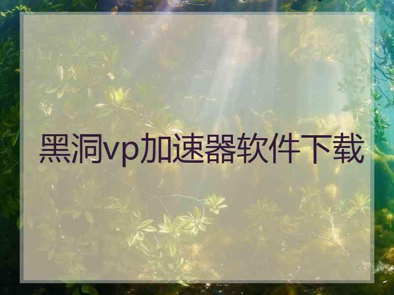 黑洞vp加速器软件下载