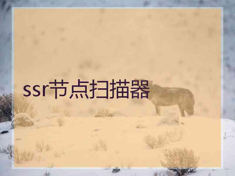 ssr节点扫描器