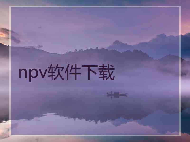 npv软件下载