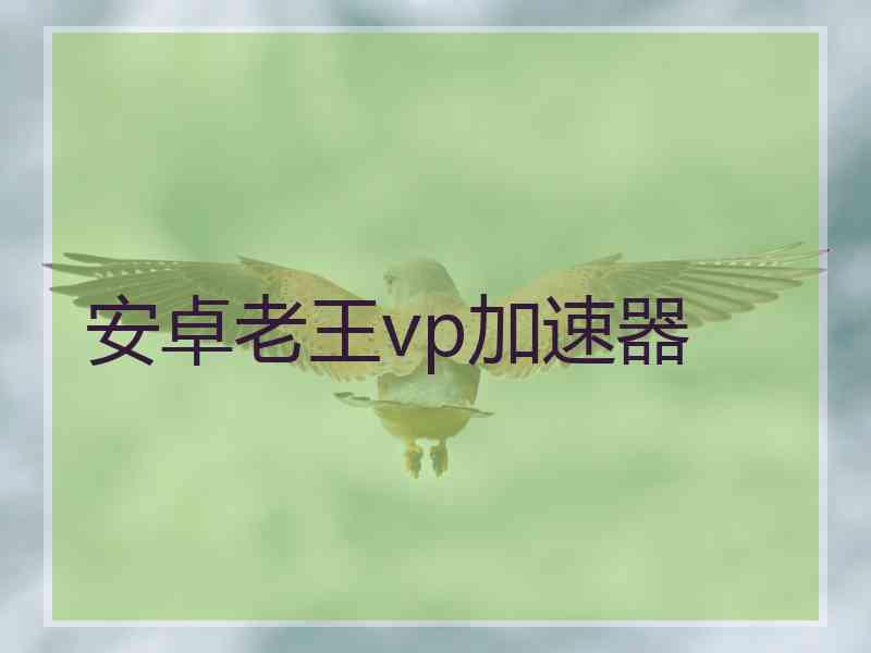 安卓老王vp加速器